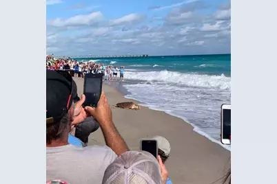 605 Mainsail Circle, Jupiter, FL 33477 - Photo 32