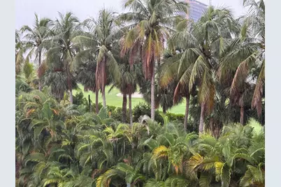 300 NE 14th Avenue #411, Hallandale Beach, FL 33009 - Photo 16