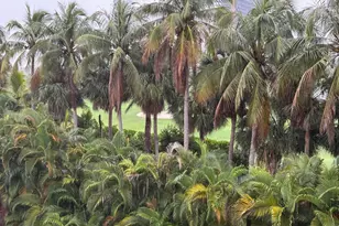 300 NE 14th Ave, Hallandale Beach, FL 33009 - Photo 16