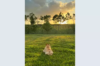 1361 Wandering Willow Way, Loxahatchee, FL 33470 - Photo 48