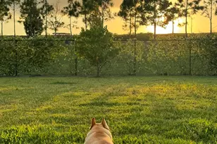 1361 Wandering Willow Wy, Loxahatchee, FL 33470 - Photo 48