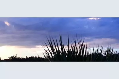 490 13th Lane SW, Vero Beach, FL 32962 - Photo 40