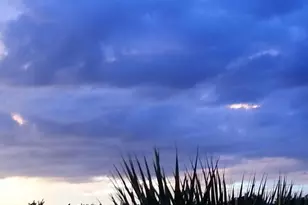 490 13th Ln SW, Vero Beach, FL 32962 - Photo 40