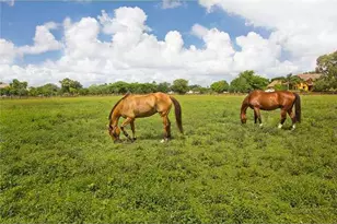 2088 Appaloosa Trail, Wellington, FL - Photo 24