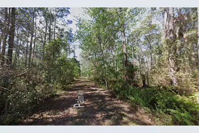 416 Palm Way, Georgetown, FL 32139 - Photo 2