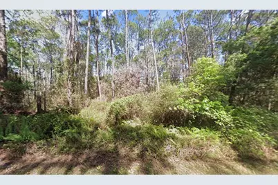 418 Palm Way, Georgetown, FL 32139 - Photo 1