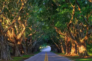 9165 SE Yacht Club Cir, Hobe Sound, FL 33455 - Photo 34