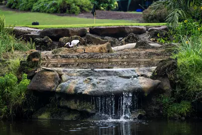 1832 Bridgewood Drive, Boca Raton, FL 33434 - Photo 34