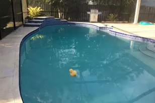 12305 Sawgrass Ct, Wellington, FL 33414 - Photo 4