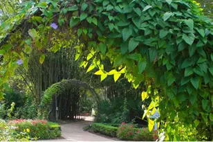 3442 SW Esperanto St, Port Saint Lucie, FL 34953 - Photo 60