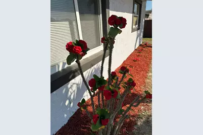 4010 NE 6th Avenue, Deerfield Beach, FL 33064 - Photo 4