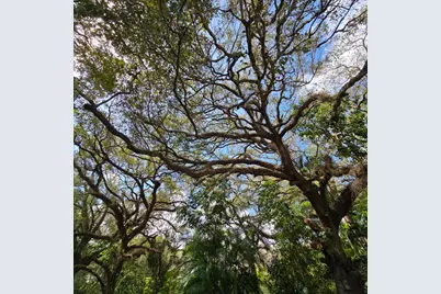 9440 Live Oak Place, Davie, FL 33324 - Photo 26