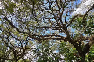 9440 Live Oak Pl, Davie, FL 33324 - Photo 26