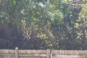 8448 NW 196th Terrace, Hialeah, FL 33015 - Photo 66