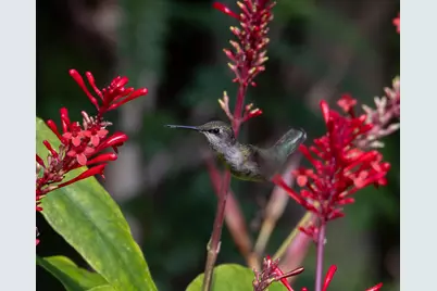 534 NW Kingston Street, Port Saint Lucie, FL 34983 - Photo 74