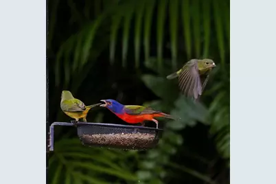 534 NW Kingston Street, Port Saint Lucie, FL 34983 - Photo 66