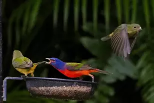 534 NW Kingston St, Port Saint Lucie, FL 34983 - Photo 66