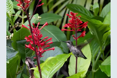 534 NW Kingston Street, Port Saint Lucie, FL 34983 - Photo 70