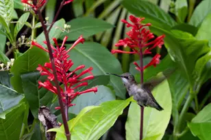 534 NW Kingston St, Port Saint Lucie, FL 34983 - Photo 70