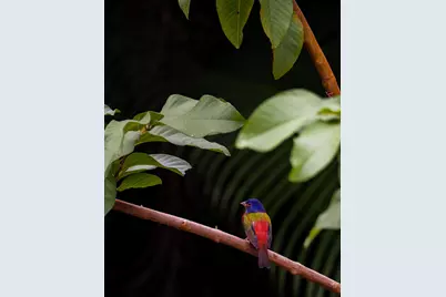 534 NW Kingston Street, Port Saint Lucie, FL 34983 - Photo 68