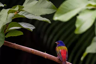 534 NW Kingston St, Port Saint Lucie, FL 34983 - Photo 68