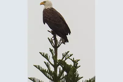 534 NW Kingston Street, Port Saint Lucie, FL 34983 - Photo 76