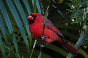 534 NW Kingston St, Port Saint Lucie, FL 34983 - Photo 78