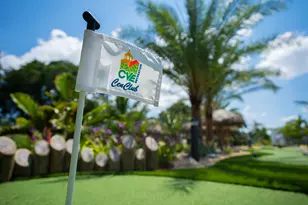 115 Markham F, Deerfield Beach, FL 33442 - Photo 70