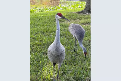 6657 Pavone Street, Lake Worth, FL 33467 - Photo 36