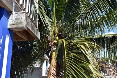 22920 Privateer Drive, Cudjoe Key, FL 33042 - Photo 16