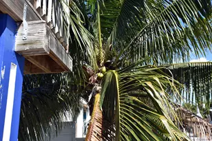 22920 Privateer Dr, Cudjoe Key, FL 33042 - Photo 14
