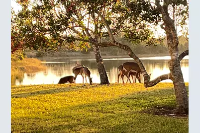 4552 N San Andros, West Palm Beach, FL 33411 - Photo 28