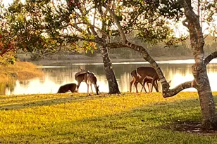 4552 N San Andros, West Palm Beach, FL 33411 - Photo 28