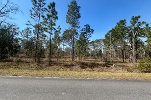 Tbd NW Water Oak Ave, Dunnellon, FL 34431 - Photo 1