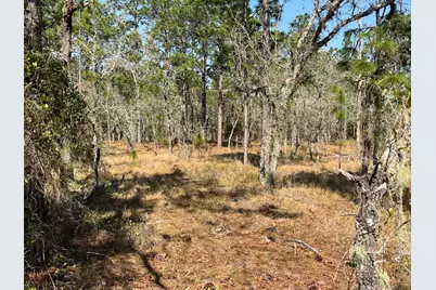 Tbd NW Water Oak Avenue, Dunnellon, FL 34431 - Photo 8