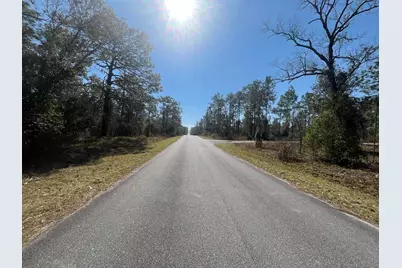 Tbd NW Water Oak Avenue, Dunnellon, FL 34431 - Photo 4