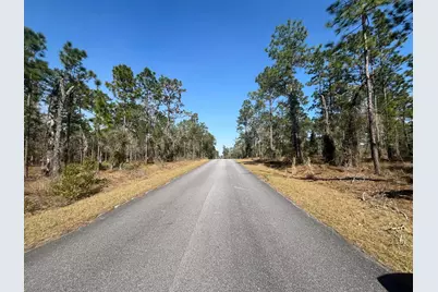 Tbd NW Water Oak Avenue, Dunnellon, FL 34431 - Photo 2