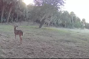 1002 Bankers Rd, Lorida, FL 33857 - Photo 12