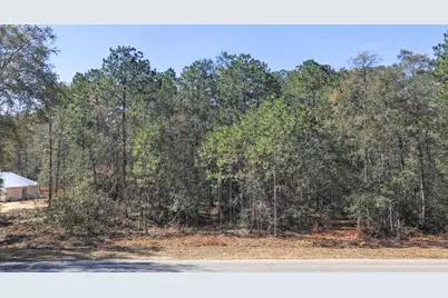 0000 SW Rainelle Road, Dunnellon, FL 34431 - Photo 1