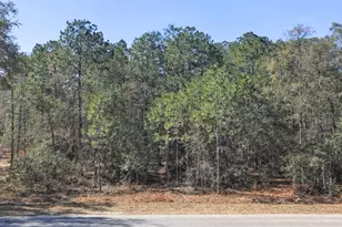 0000 SW Rainelle Rd, Dunnellon, FL 34431 - Photo 1