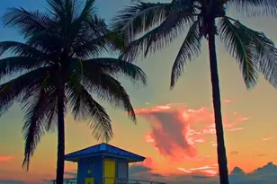 2600 N Surf Rd, Hollywood, FL 33019 - Photo 6