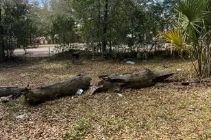 5846 Abelia Rd, Jacksonville, FL 32209 - Photo 2