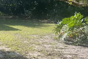 2424 Monroe St, Hollywood, FL 33020 - Photo 2