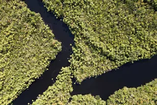 649 NE Waters Edge Ln, Port Saint Lucie, FL 34983 - Photo 38