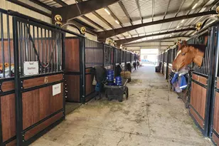 6025 NW 115th Ave, Ocala, FL 34482 - Photo 58