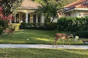 8557 SE Retreat Dr, Hobe Sound, FL 33455 - Photo 30