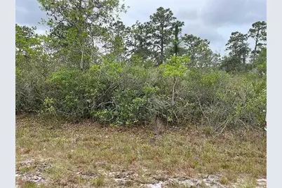 0 Bougainvillea Drive, Indian Lake Estates, FL  - Photo 2