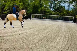 17225 Mare Ln, The Acreage, FL 33470 - Photo 30