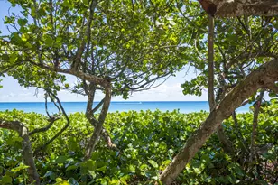 425 S Beach Rd, Tequesta, FL 33469 - Photo 62