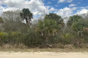 20639 NW 300th St, Okeechobee, FL 34972 - Photo 1
